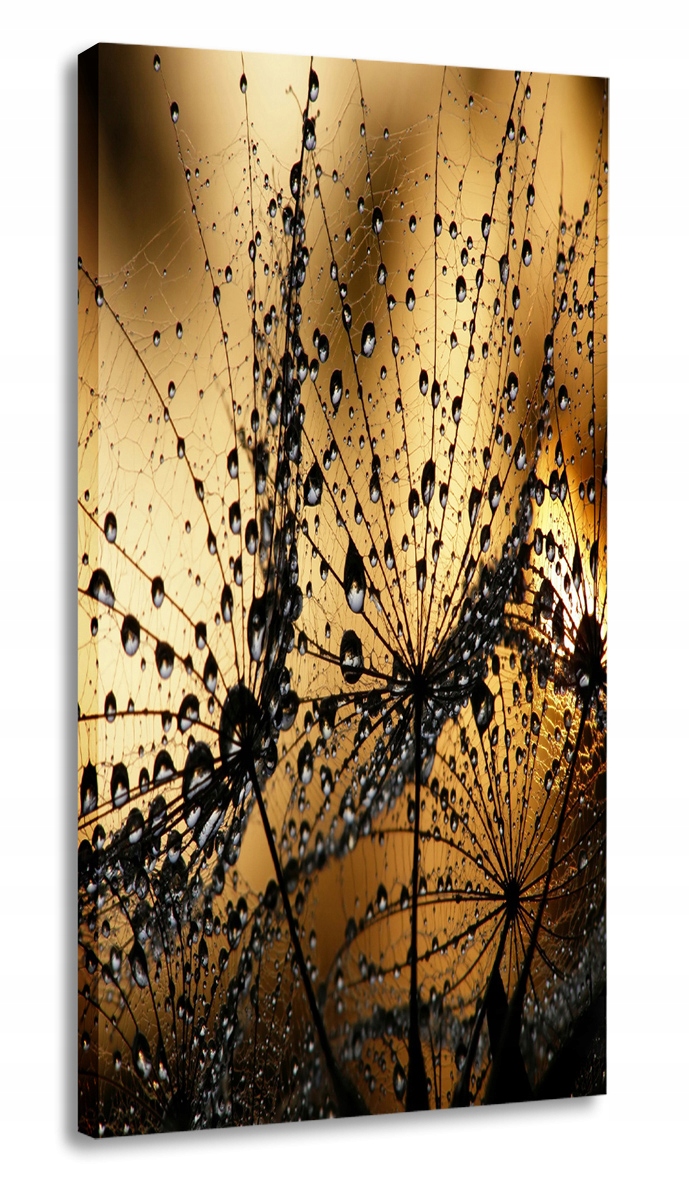 

Obraz Krople Kwiat 30x60