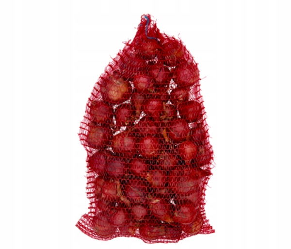 Levně Cibule červená 5 kg