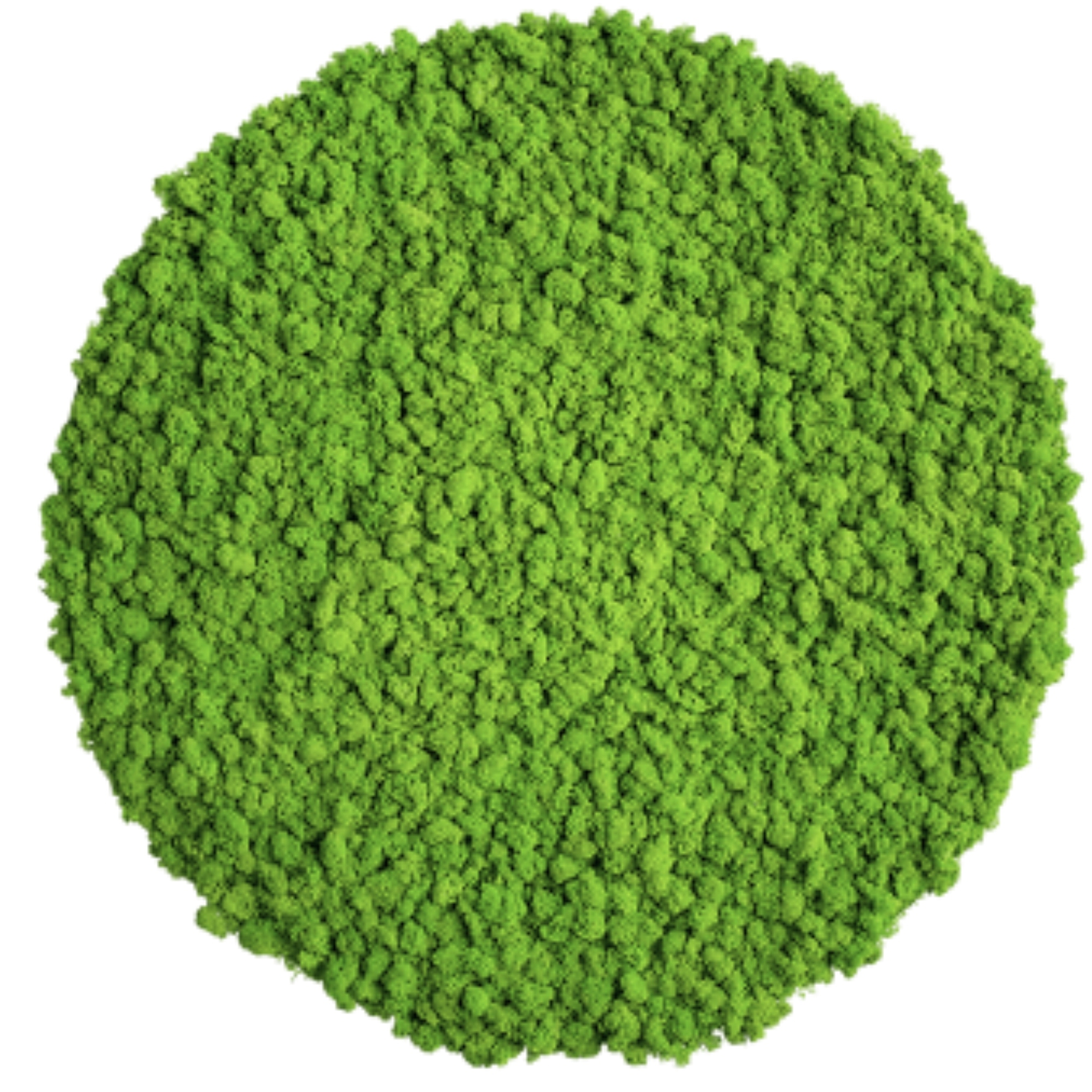 Obraz Z Mechu nástěnný panel z mechu kulatý mech chrobotek zelený 60 cm