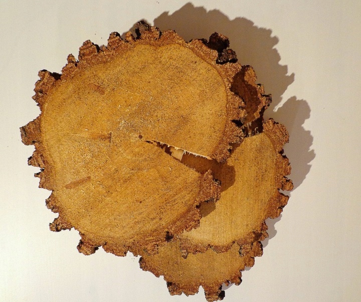 Święta Duży plaster drewna pod talerze brzoza 25-28 cm Kod producenta plaster brzozy