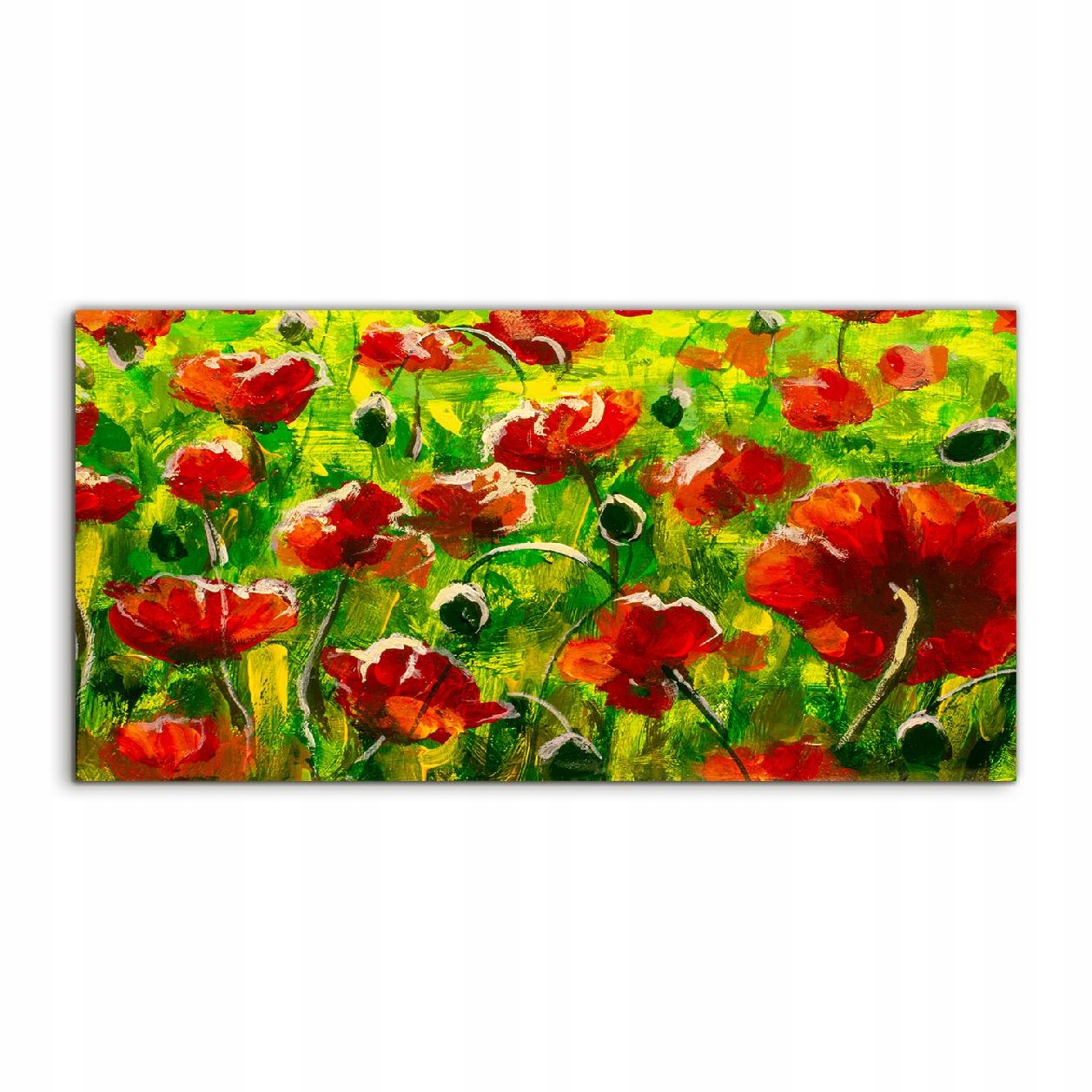 

Obraz akryl 140x70 na ścianę Maki Góry Łąka Natura