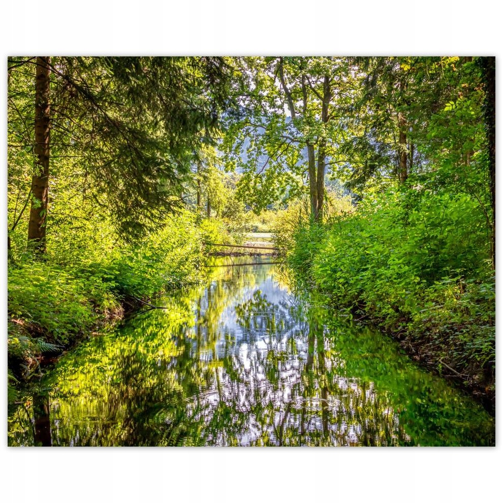 

Plakat 50x40 Rzeczka Piękna pogoda