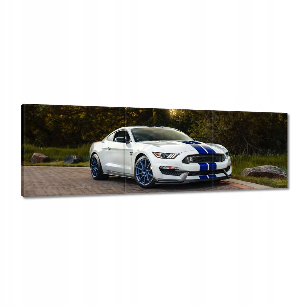 Obrazy 150x50 Ford Mustang Auto Usa