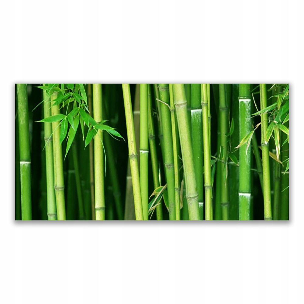 

Obraz akrylowy 140x70 Las Bambusowy Bambus Natura