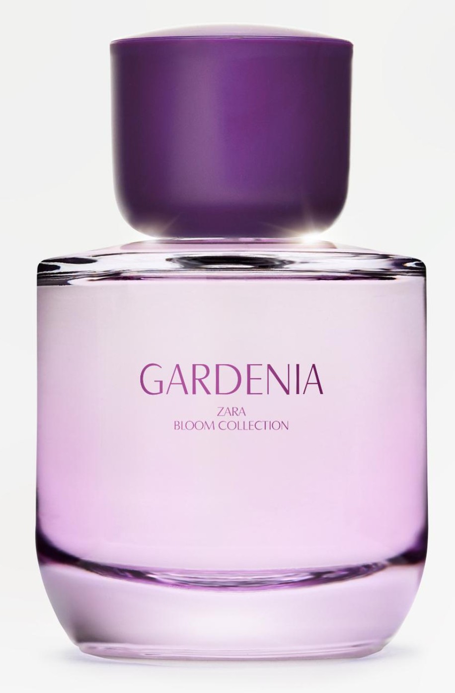 Zara Gardenia Zara Bushy Gardens Perfume Bushy Gardens Zara Parfum - Main Image