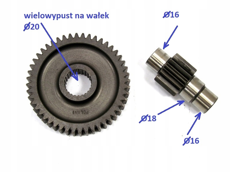 Przekladnia 14 48 POLINI Piaggio Zip Fast Rider 93 Part manufacturer Polini