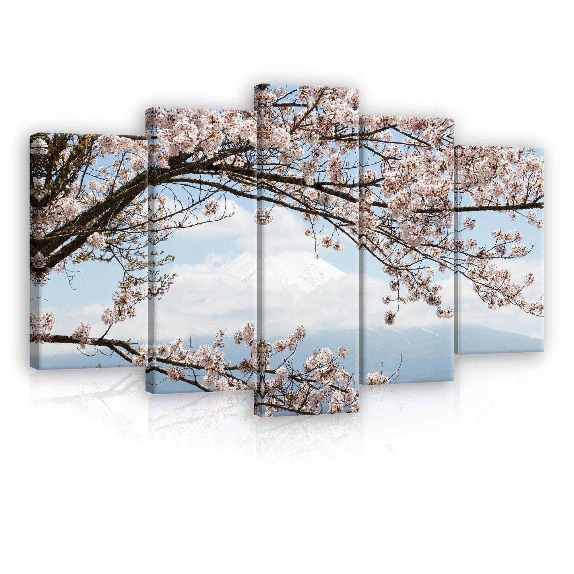 Obraz 100x60 Kvetoucí Sakura Hora Fudži Japonsko jaro krajina příroda klid