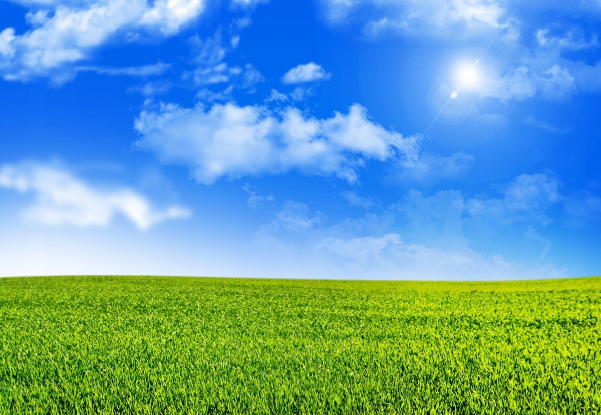 

Fototapeta Flizelinowa Zielona trawa 152x104