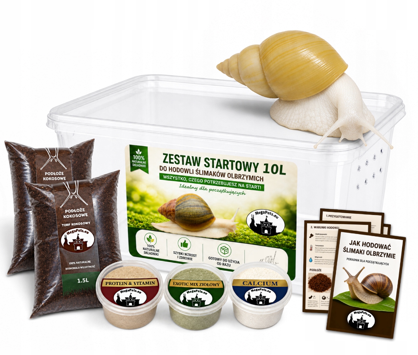 Komplet startowy Terrarium 10L Ślimaki afrykańskie Achatina Lissachatina