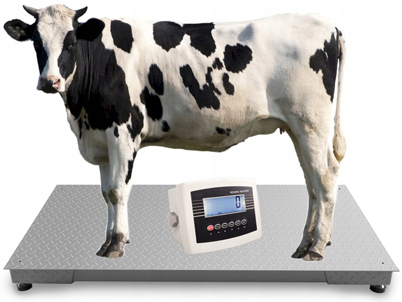 Inventární Váha 1,2x2,0 m 5 t Pro Vážení Dobytka
