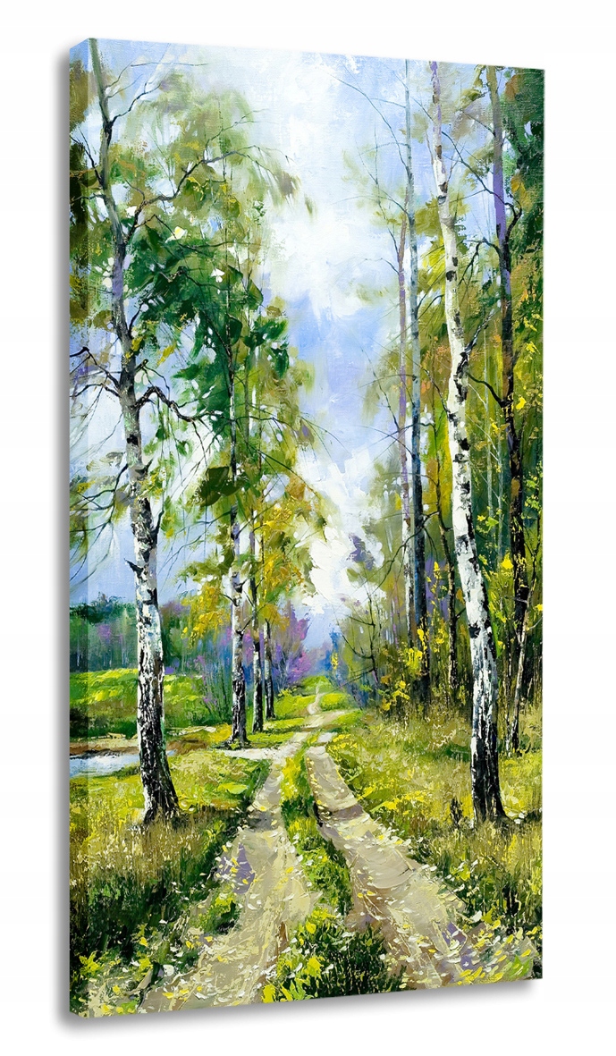 

Obraz Polska Brzozy Lesna Droga 25x50