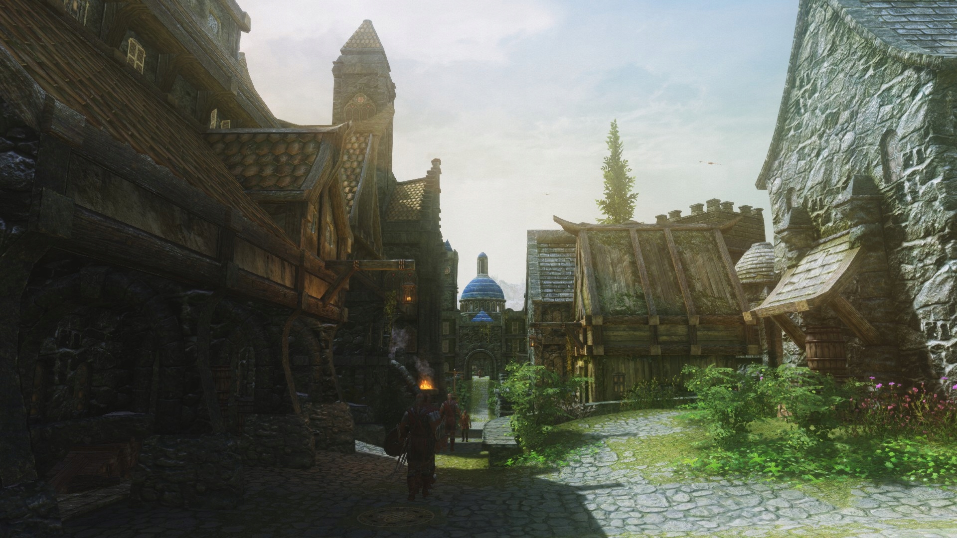 The Elder Scrolls V: Skyrim Anniversary Edition KLUCZ | STEAM Tryb gry singleplayer