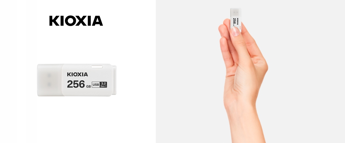 Pendrive KIOXIA 256GB USB 3.2 Hayabusa U301 WHITE Pojemność 256 GB