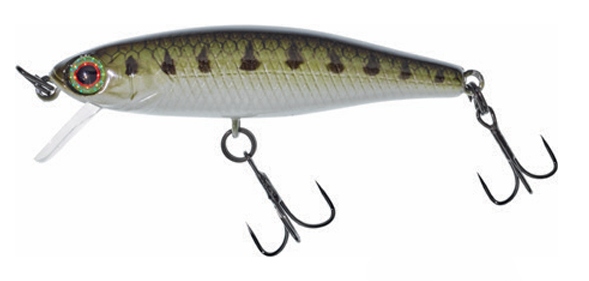 Wobler Illex Jackall Tiny Fry 50 Sp Goujon