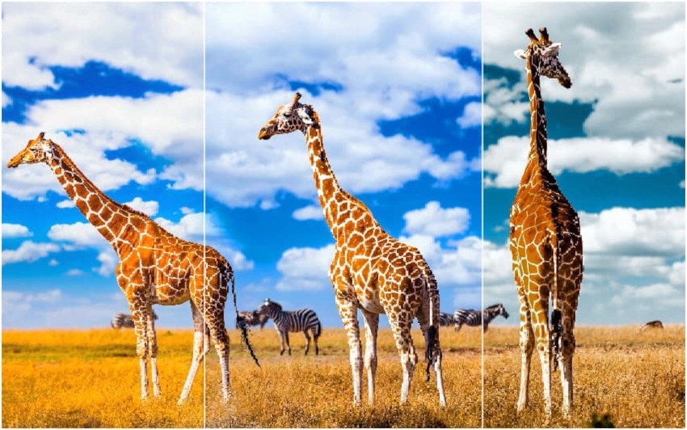 Telewizor TCL 85C845 MINILED 4K 144Hz Google TV Marka TCL