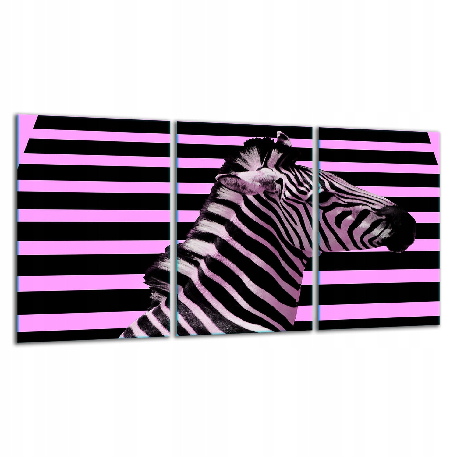 7v1 Skleněná Krájecí Deska 3x30x52 Zebra