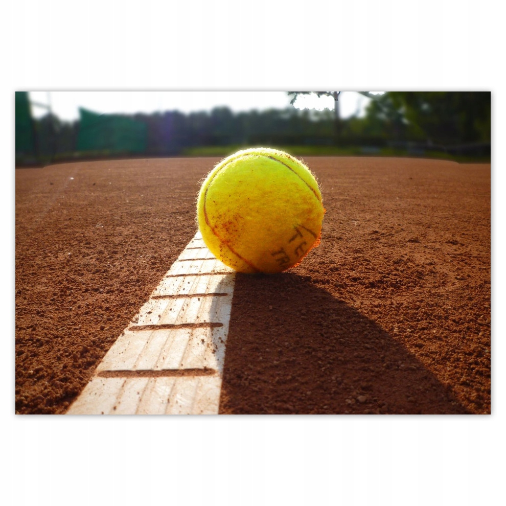 

Fototapety flizelina 104x70 Piłka tenisowa Kort