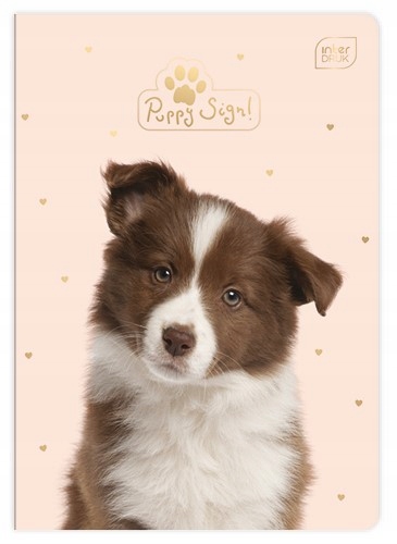 

Zeszyt szkolny A5 16 kartek w 3 linie Interdruk