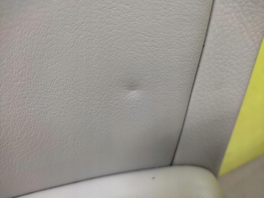 LEXUS RX300 upholstery door right front