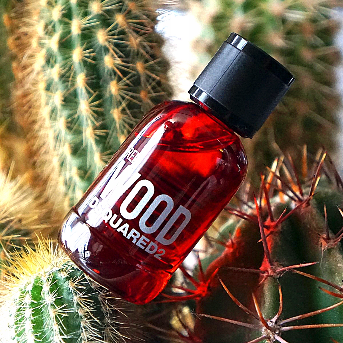 DSQUARED2 RED WOOD POUR FEMME EDT 100ML FLAKON + KOREK x Marka Dsquared2