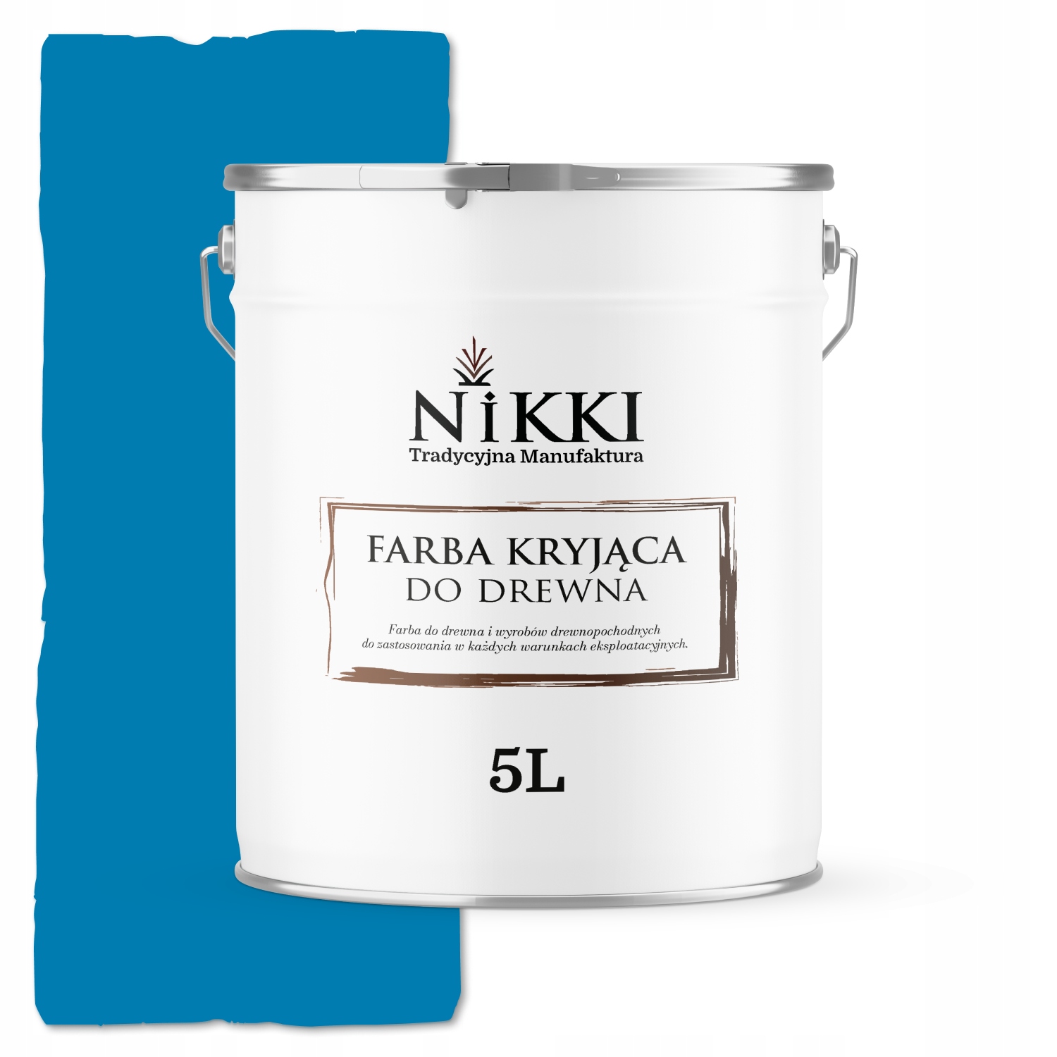 Barva Na Dřevo Kryjící Dveře Renovace Barva Světle Modrá RAL5015 Mat 5L Uv