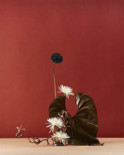 Victoria Gaiger Modern Ikebana: A New Wave in Floral Design Okładka twarda