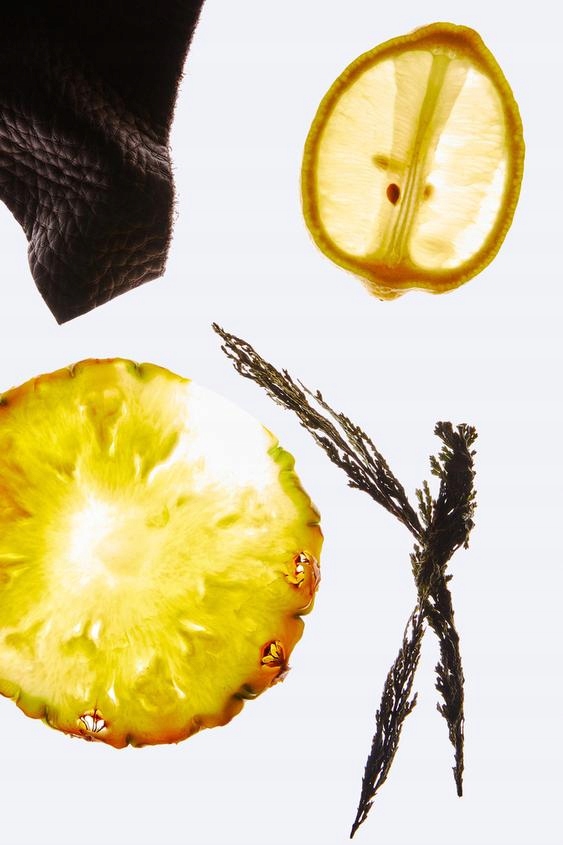 Perfumy męskie ZARA VIBRANT LEATHER BOGOSS 100 ml Kod producenta VIBRANT LEATHER  Seoul