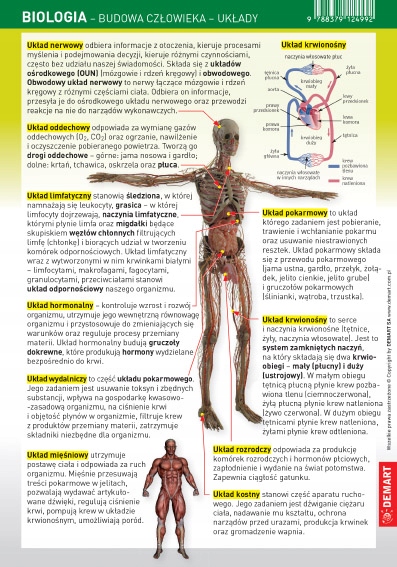 

Ściągawka Biologia Budowa Człowieka Układy