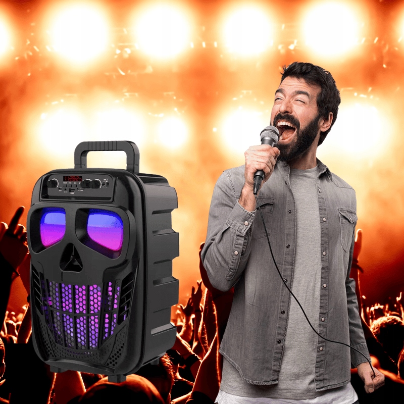 GŁOŚNIK BEZPRZEWODOWY PRZENOŚNY KARAOKE BLUETOOTH RADIO MIKROFON LED USB Kod producenta SKULL