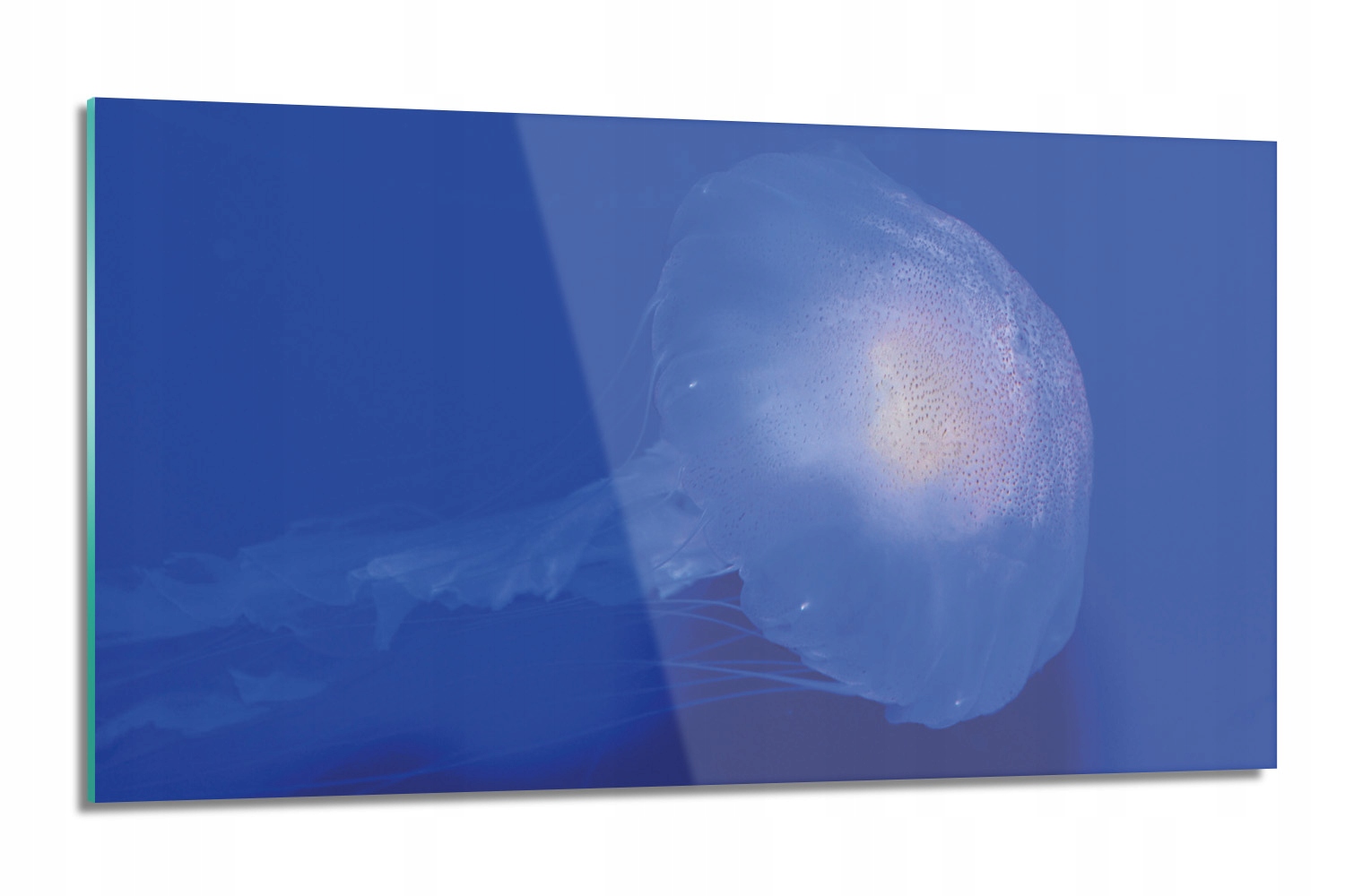 dekor Medúza oceán more dekor 120x60 kuchynská linka