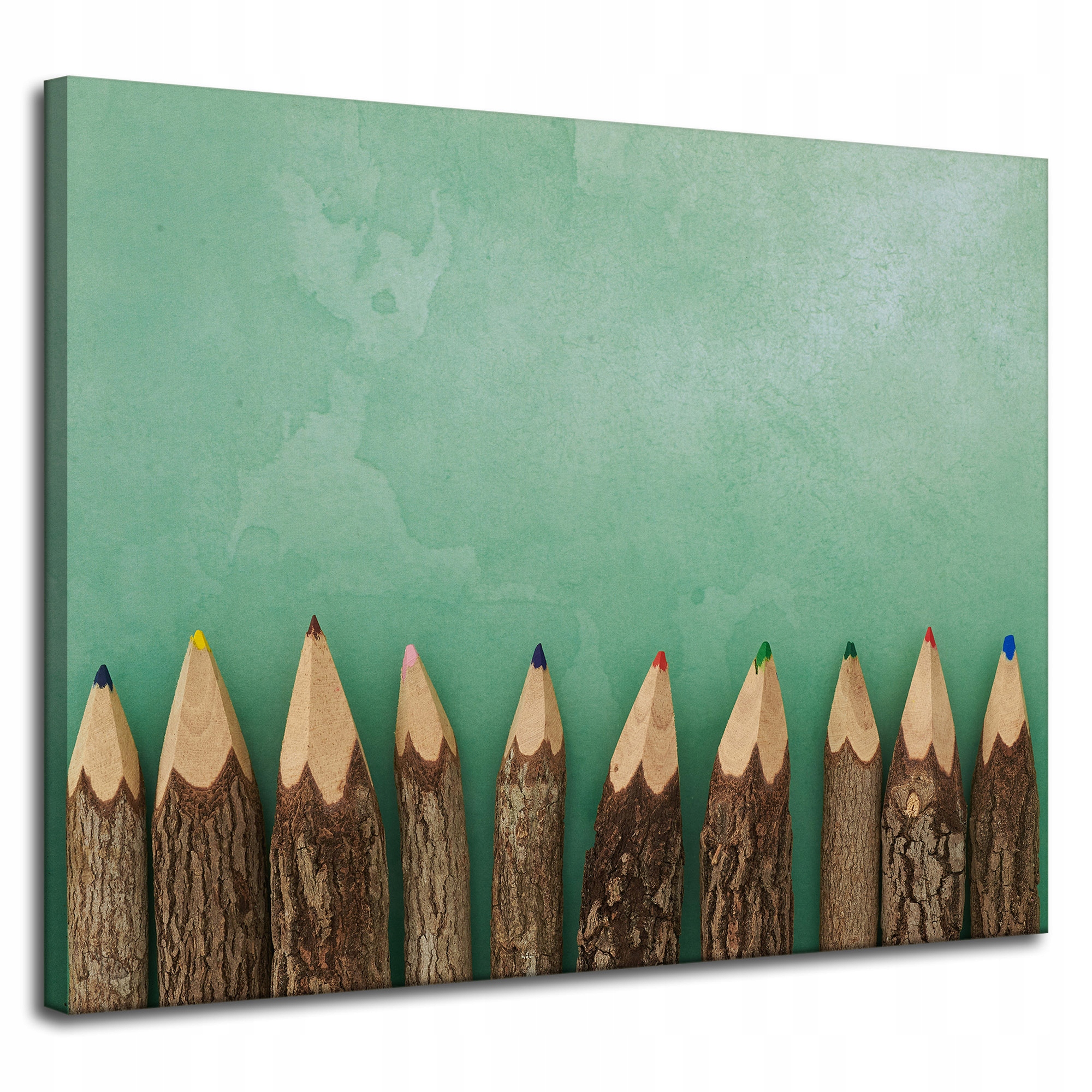 Obraz na plátně Barevné Pastelky Tužky v kmenech stromů 100x80