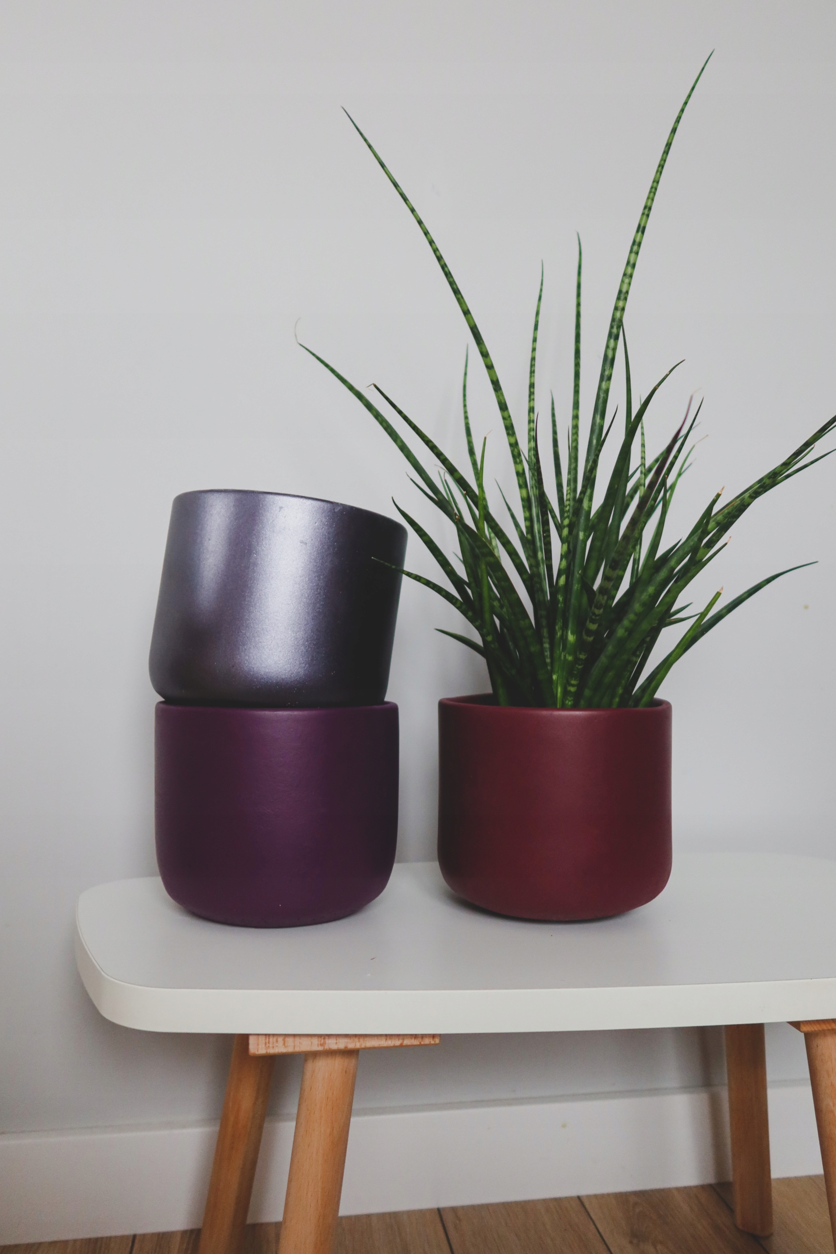 Doniczka betonowa 12cm czekoladowa lakierowana Kolor brązowy