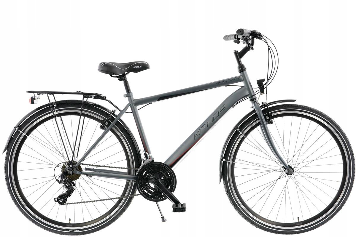 Rower trekking 28'' Kands Galileo M19 grafitowo-bordowy