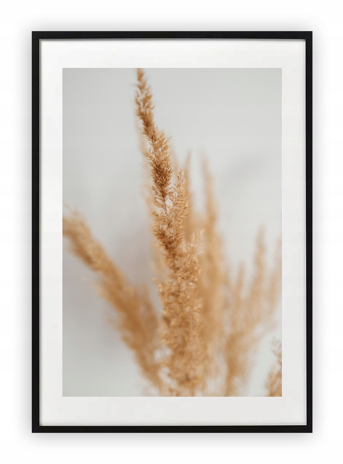 

Plakat 13x18 cm Boho Trawa Zieleń