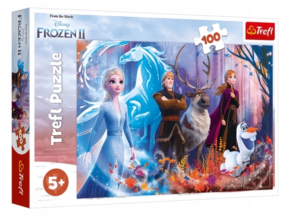 

Trefl, Puzzle 100: Magia Krainy Lodu (16366)