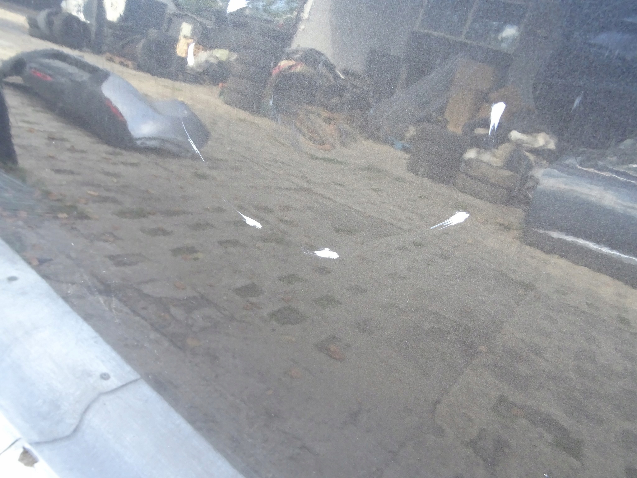 PEUGEOT 208 door left left front EVL