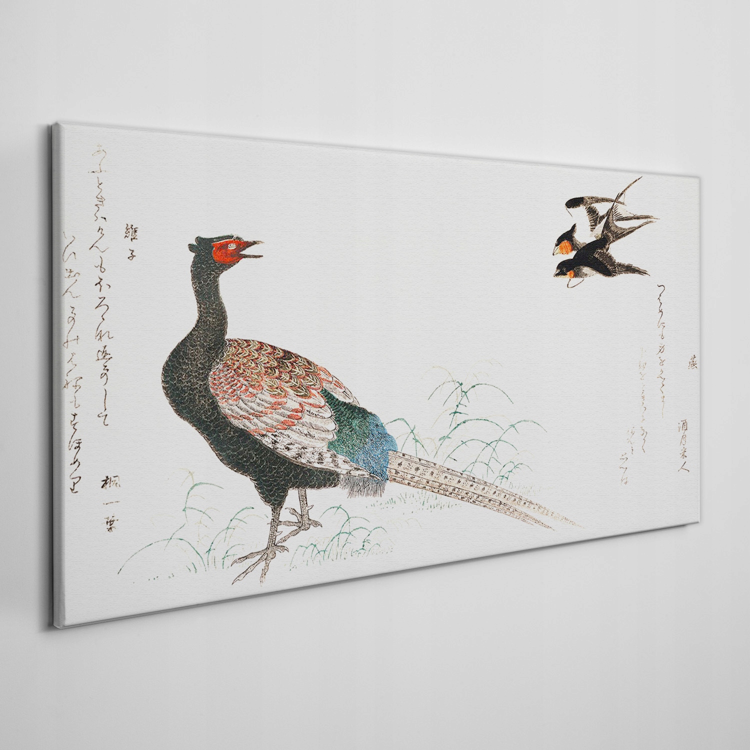 

Obraz na ramie płótno Azja zwierzę ptaki 100x50 cm