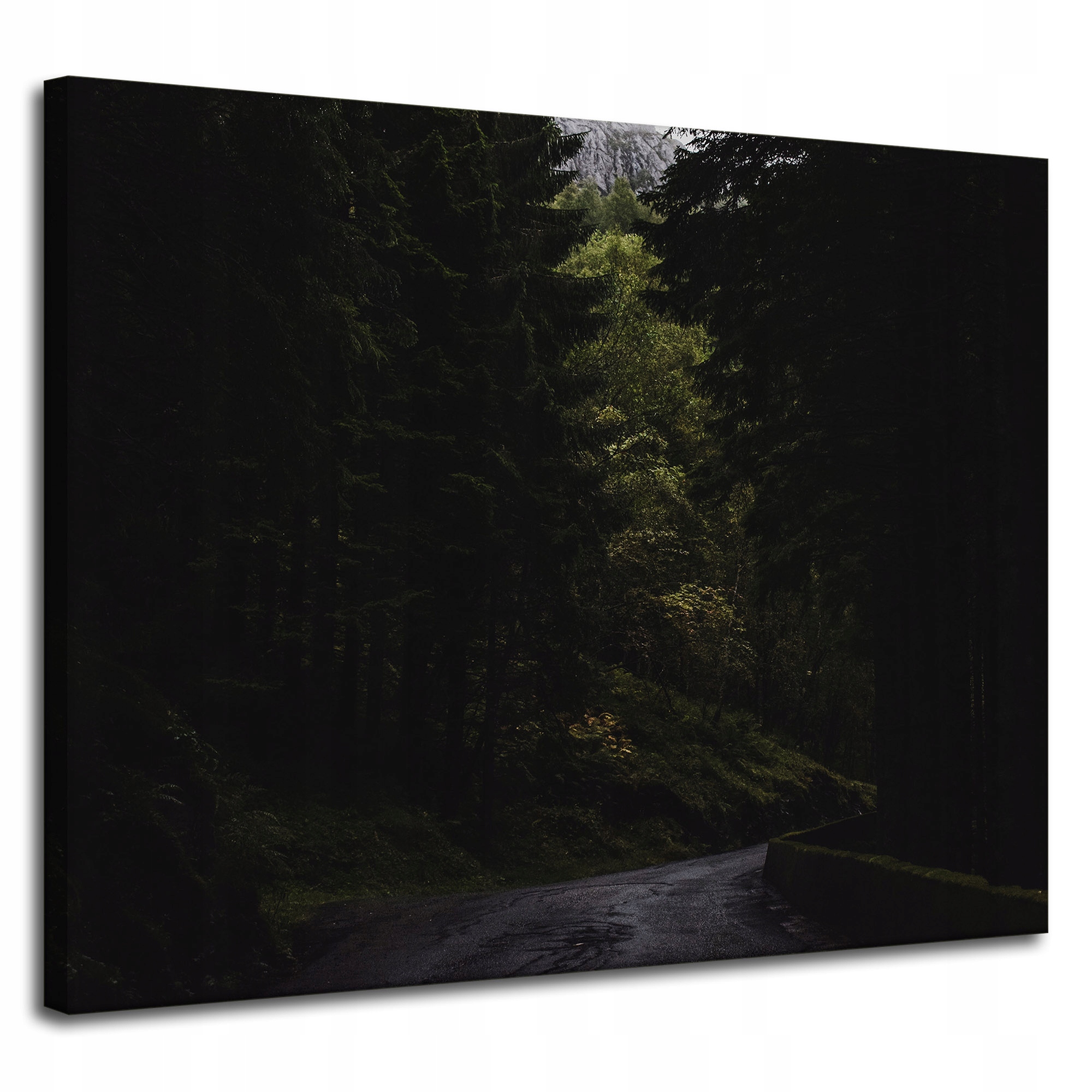 Obraz na plátně Příroda Cesta Temnota Strach 100x80