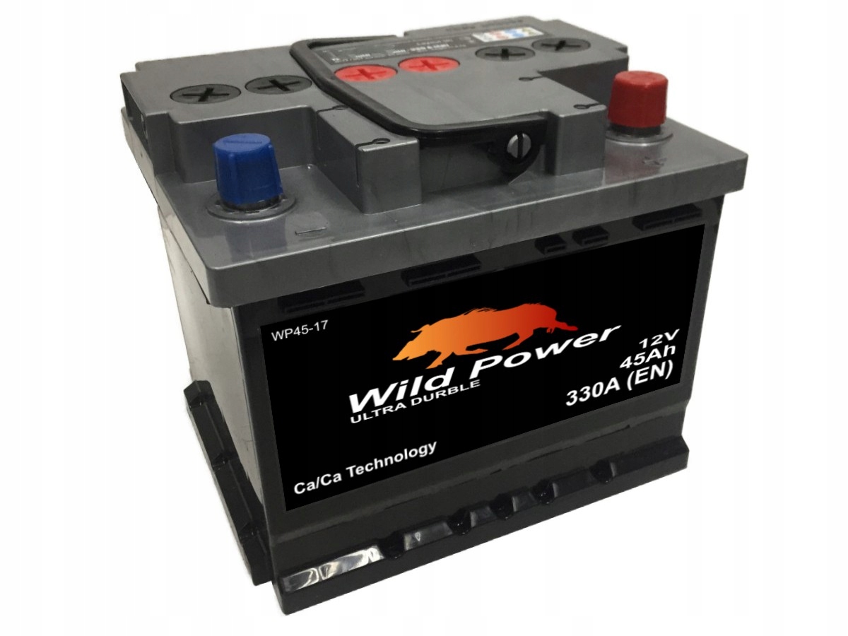 WP45 - Акумулятор Wild Power 12V 45AH 330A P+
