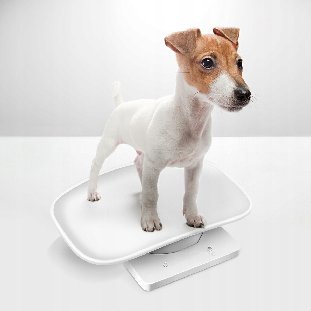 CYFROWA WAGA CIAŁA BABY DOG DLA MAŁYCH PSÓW Marka bez marki