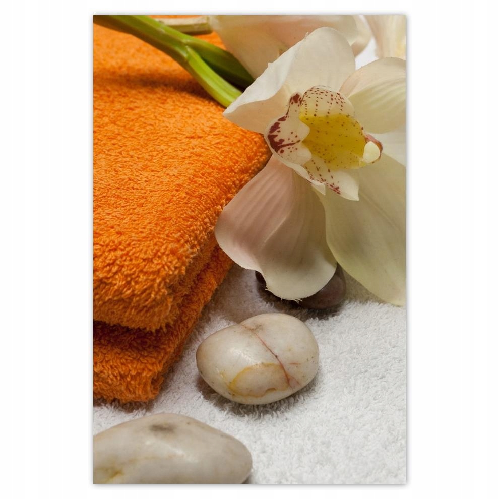 

Plakaty 40x60 Ręczniki Kwaity Kamienie