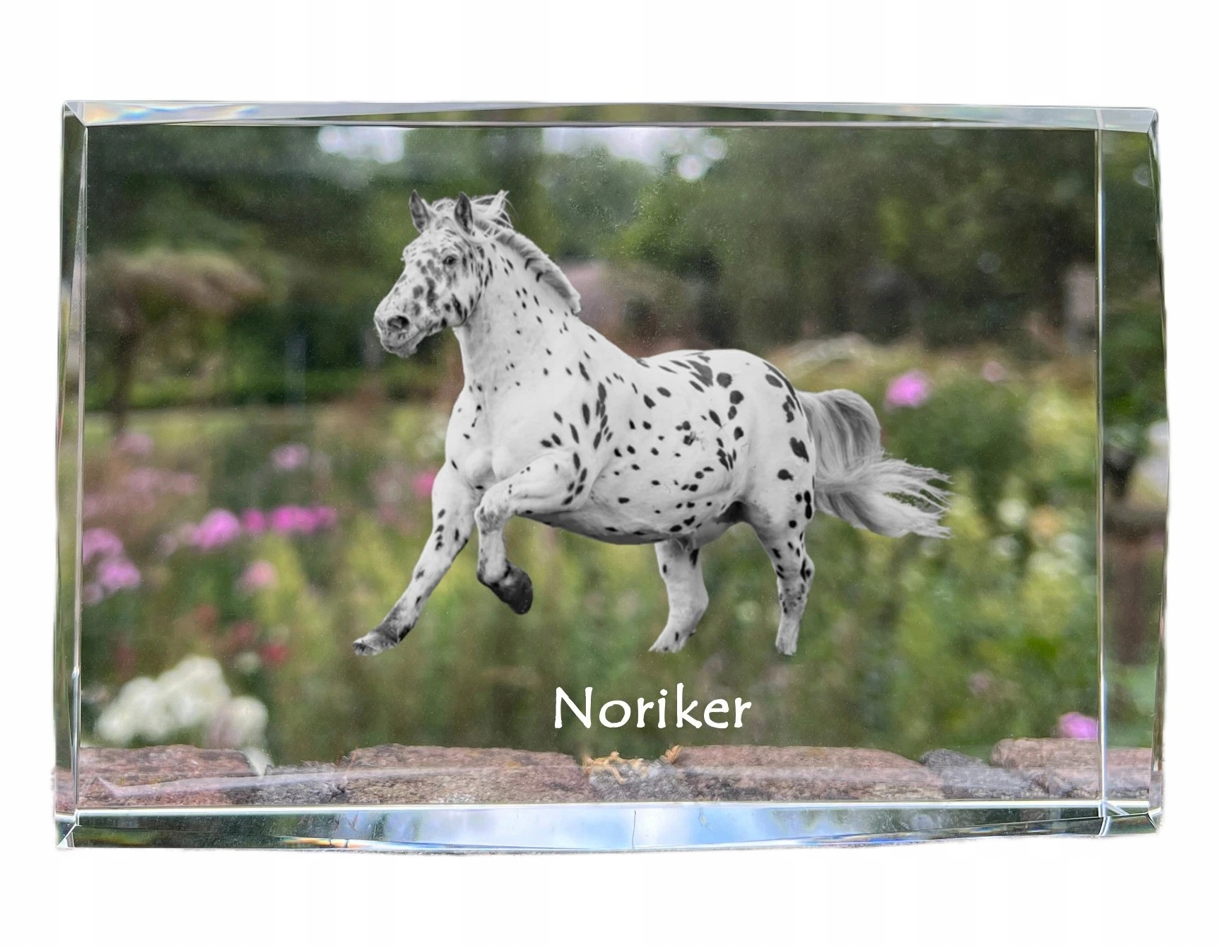 Kôň Noriker, fotografia v kryštáli, suvenír, trofej, poďakovanie