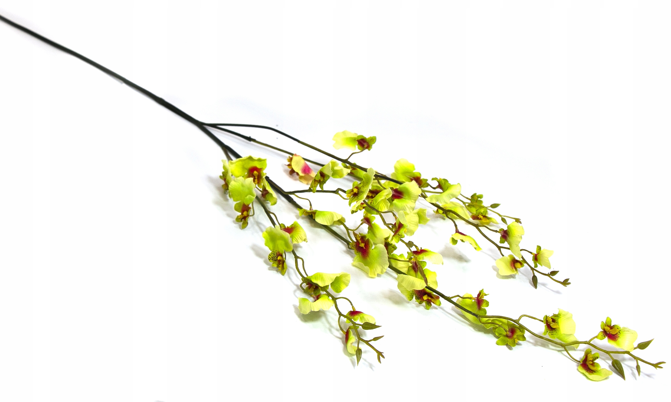 STORCZYK ONCIDIUM DŁUGA GAŁĄZKA ZIELONY 120cm Marka inna