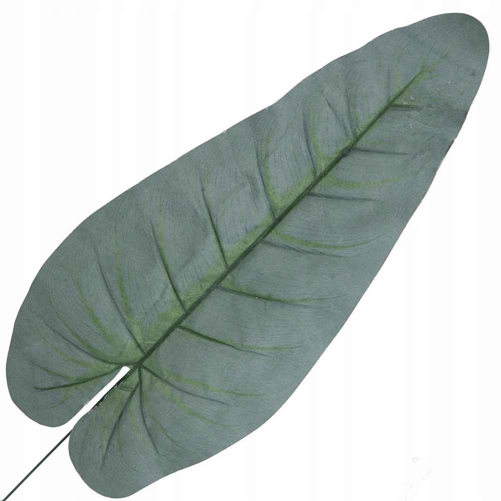 

Liść Anturium Gałązka Długa Ozdobna Zielona 56cm