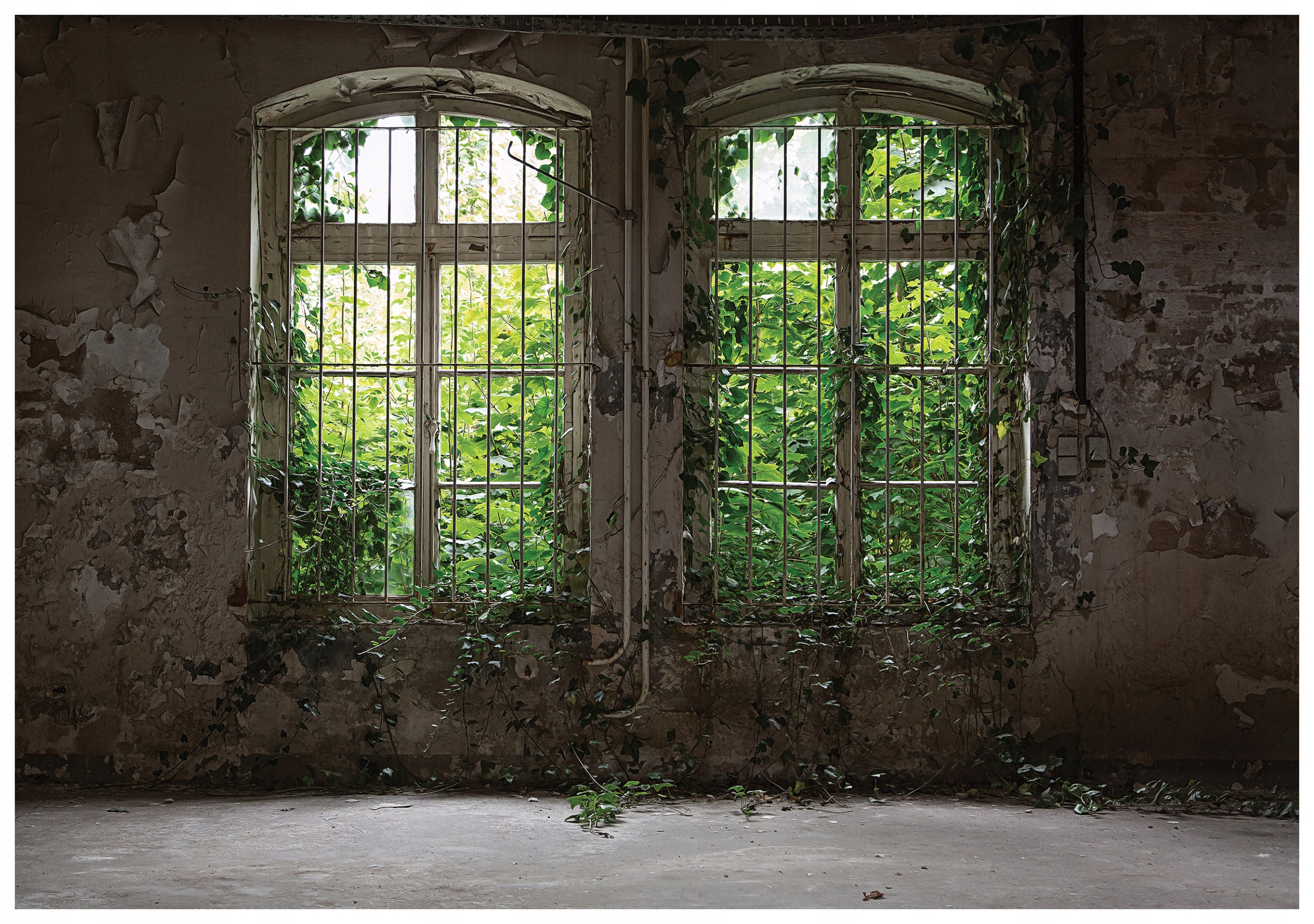 Fototapeta Zelená oáza v ruinách, vinylová príroda 254x184 lepidlo