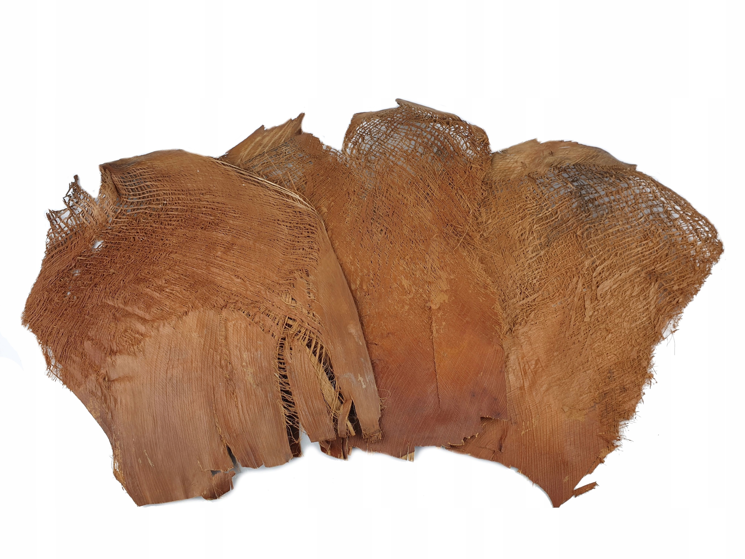 

Kora skóra Palmy Palmowa naturalna susz 250g