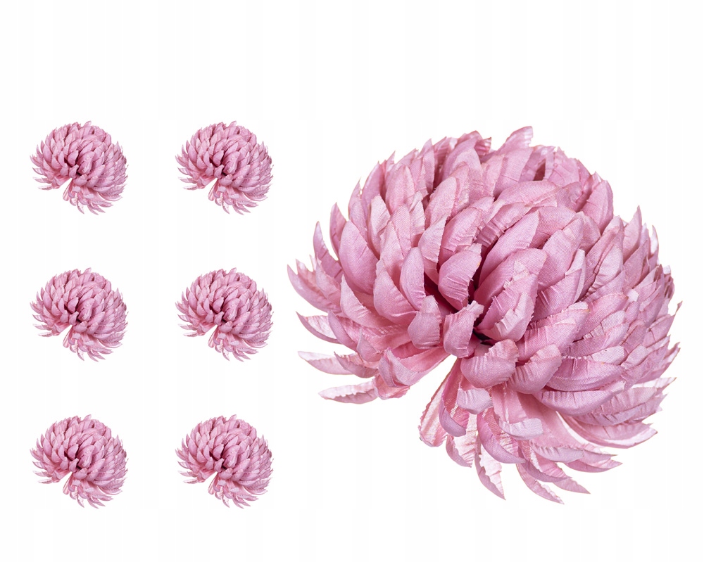 

Chryzantema ananas mauve jesienny 6 sztuk