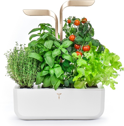 Véritable Connect Smart automatický květináč s regulací osvětlení, bílá…