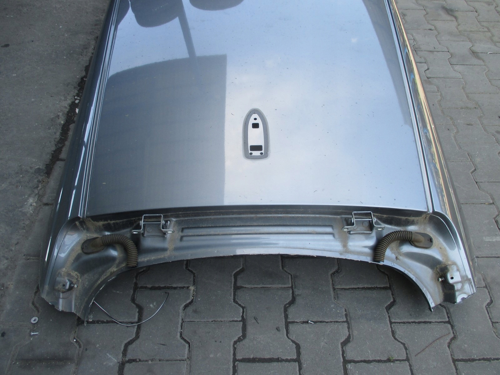 dach VOLVO V40