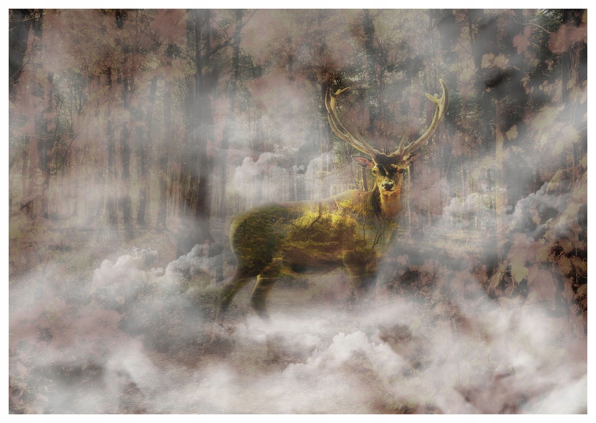 Fototapeta Jelen v mlze lesní ráno ticho klid příroda 208x146 lepidlo